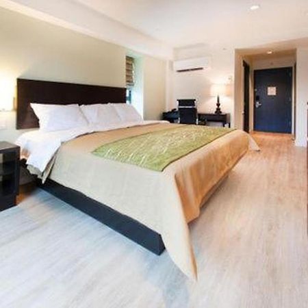 Comfort Inn & Suites - Kew Gardens Near La Guardia Airport New York Ngoại thất bức ảnh