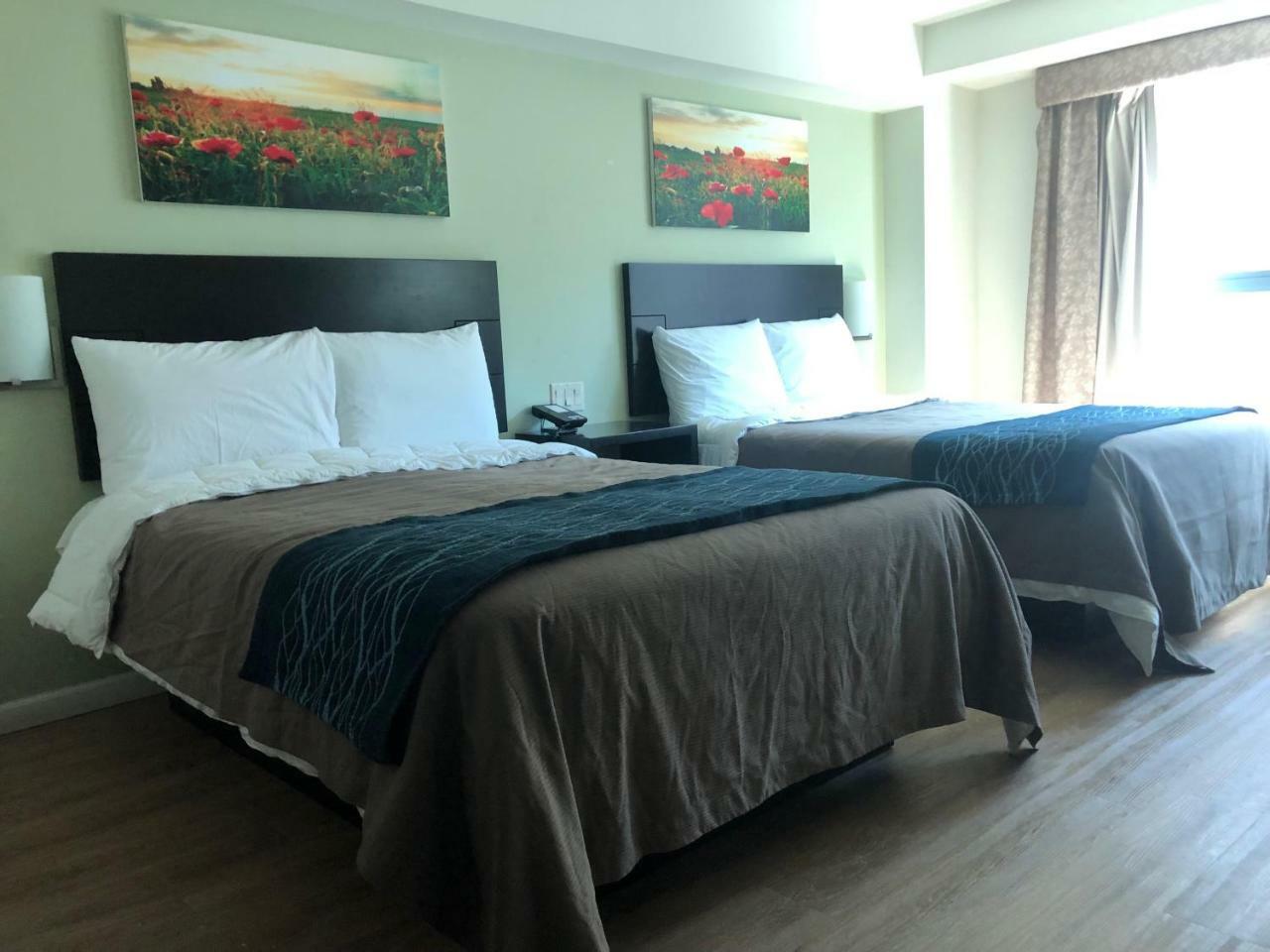 Comfort Inn & Suites - Kew Gardens Near La Guardia Airport New York Ngoại thất bức ảnh
