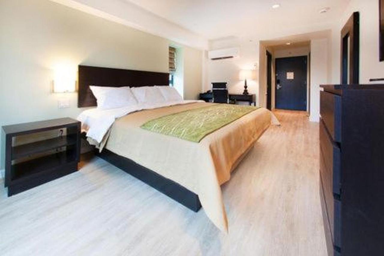 Comfort Inn & Suites - Kew Gardens Near La Guardia Airport New York Ngoại thất bức ảnh